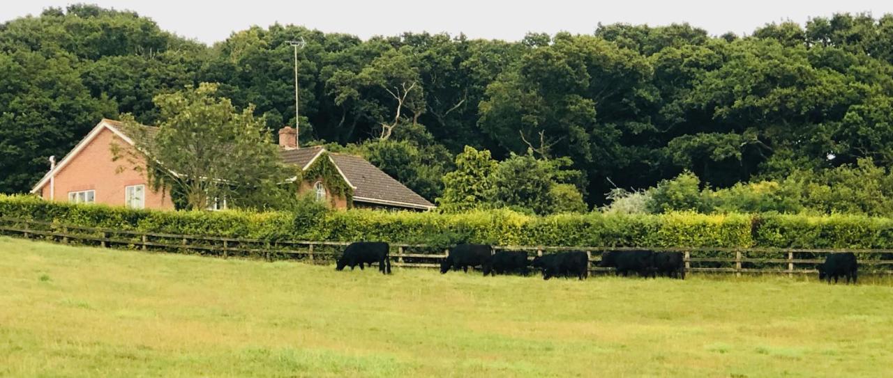 Yellowham Farm, Dorchester Higher Bockhampton 외부 사진