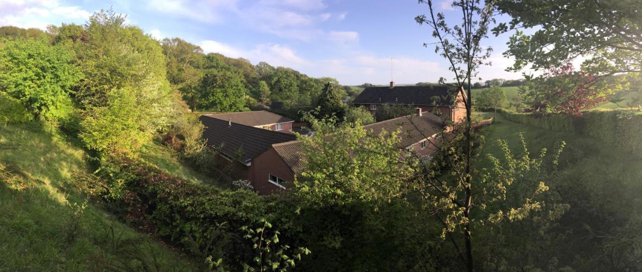 Yellowham Farm, Dorchester Higher Bockhampton 외부 사진
