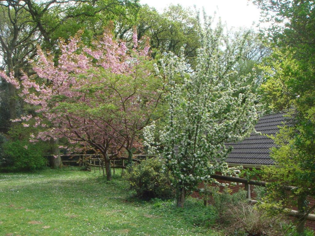Yellowham Farm, Dorchester Higher Bockhampton 외부 사진
