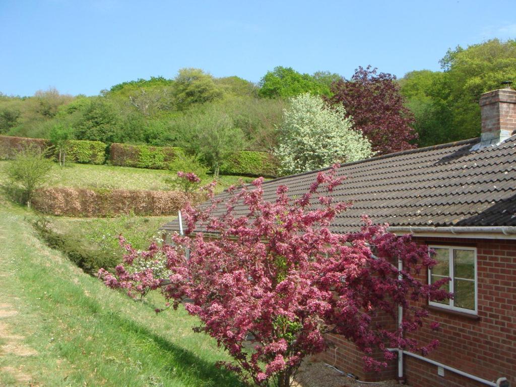 Yellowham Farm, Dorchester Higher Bockhampton 외부 사진