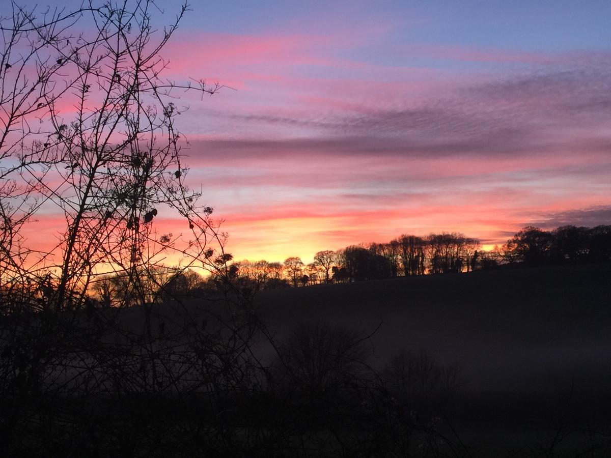 Yellowham Farm, Dorchester Higher Bockhampton 외부 사진